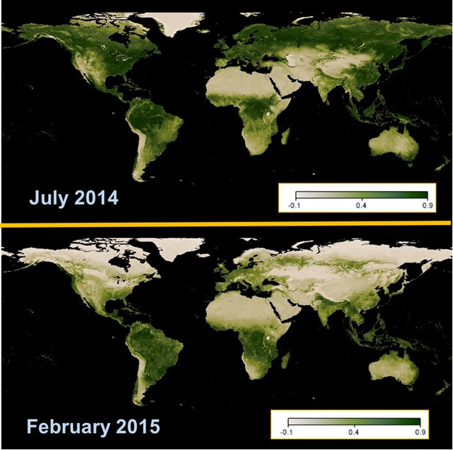 \label{fig:NDVIpic}Seasonal change in global NDVI. These vegetation maps were generated from MODIS/Terra measurements of the Normalized Difference Vegetation Index (NDVI). Significant seasonal variations in the NDVI are apparent between northern hemisphere summer (July 2014; top) and winter (February 2015; bottom). Image credit: Reto Stockli, NASA Earth Observatory Group, using data from the MODIS Land Science Team (http://neo.sci.gsfc.nasa.gov).